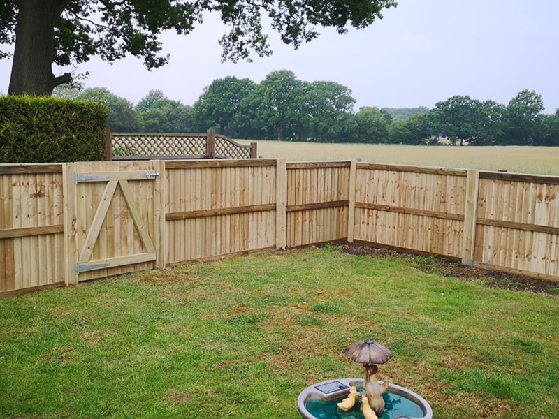 Fence and Gate